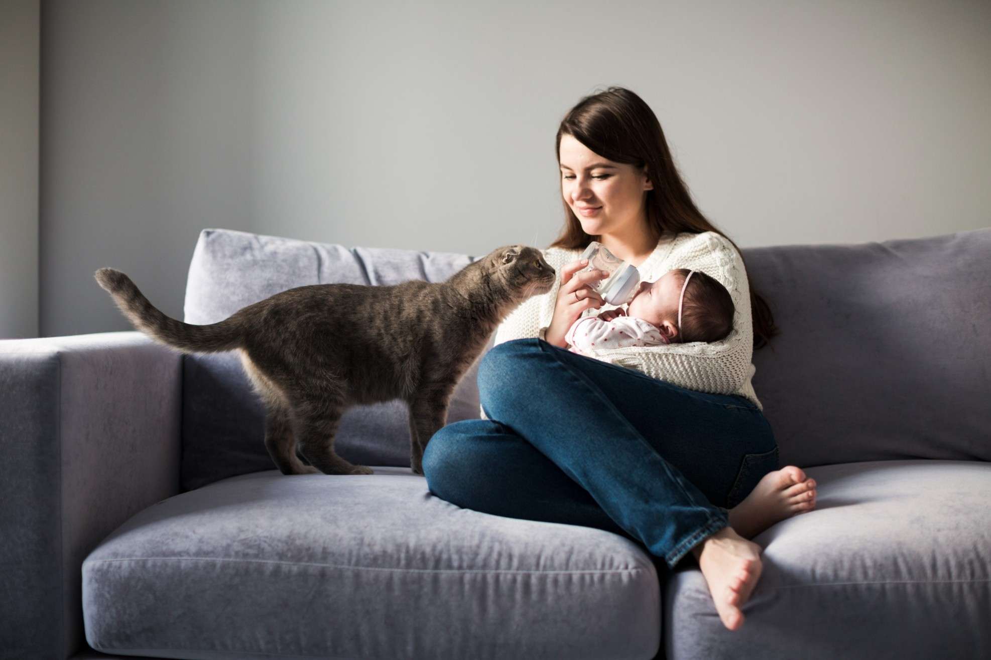Pregnant-animal-care