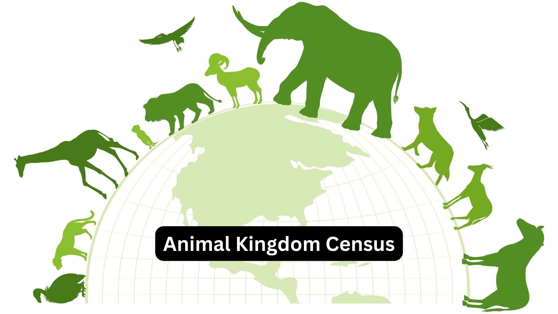 Animal-Kingdom-Census