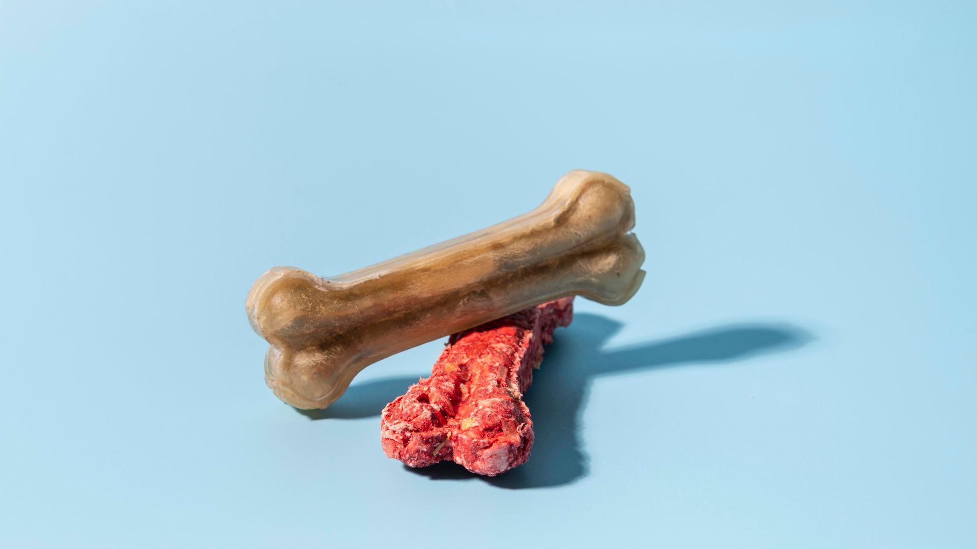 Human-bones-vs-animal-bones-how-to-identify