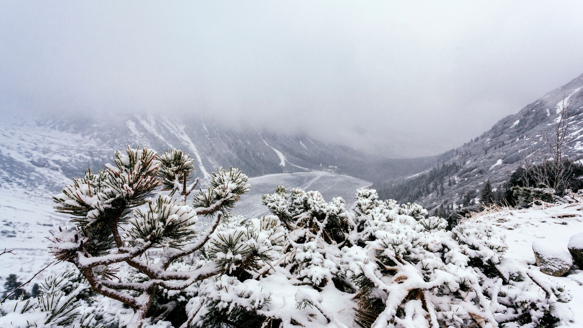Discover-the-breathtaking-beauty-of-the-worlds-snowiest-landscapes