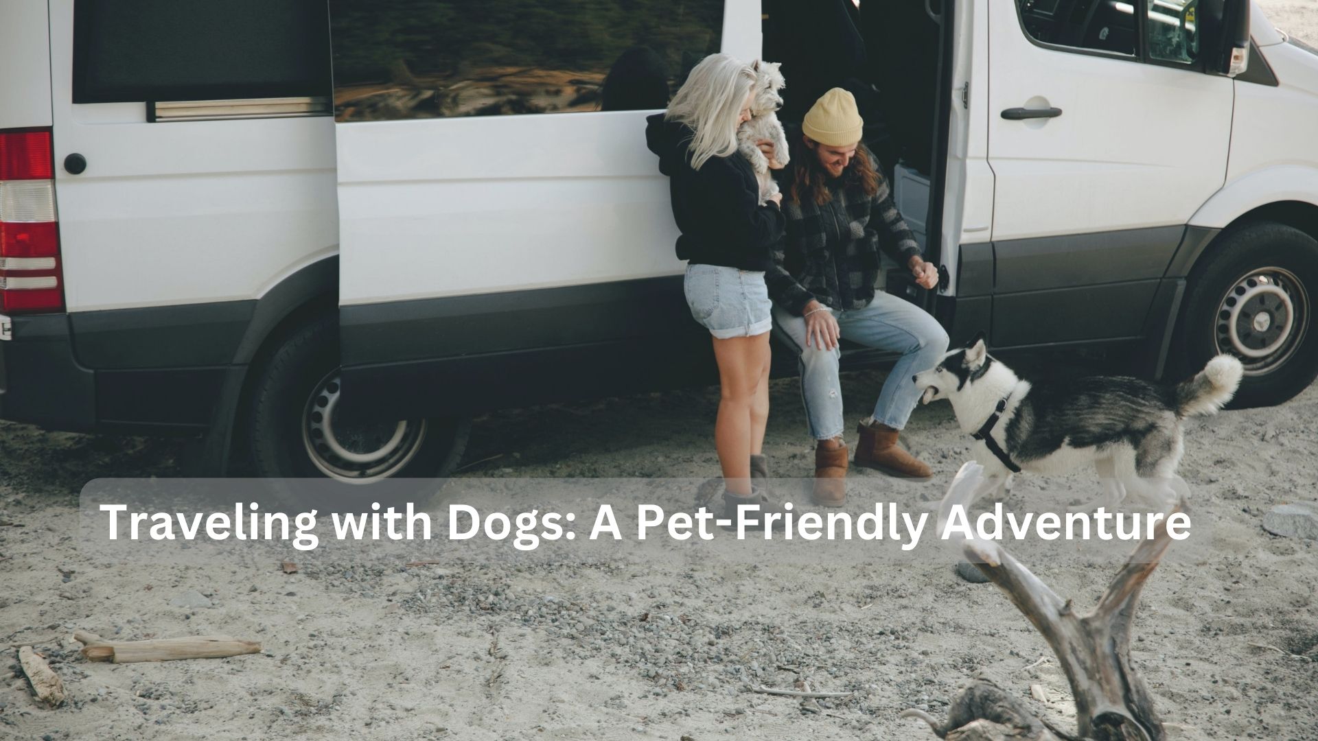 Traveling-with-Dogs-A-Pet-Friendly-Adventure